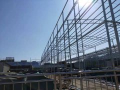 相对人能够催告被代办署理人正在一个月内予以